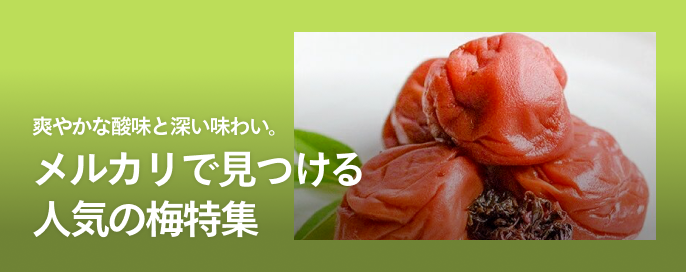 爽やかな酸味と深い味わい。メルカリで見つける人気の梅特集