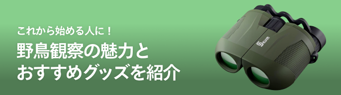 2025年最新】野鳥名鑑の人気アイテム - メルカリ