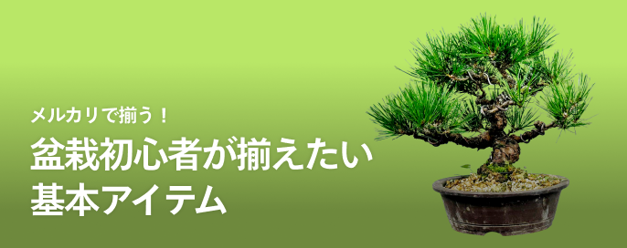 メルカリで揃う!盆栽初心者が揃えたい基本アイテム