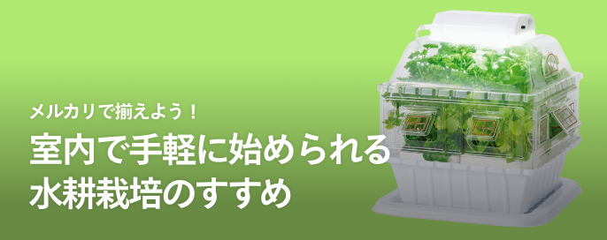 メルカリで揃えよう！室内で手軽に始められる水耕栽培のすすめ